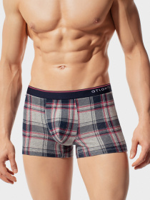 Трусы Atlantic модель MH-1134 SZM Фото