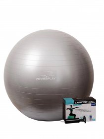 М'ячі PowerPlay модель PP_4001_75_Silver Фото