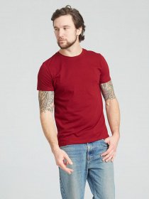 Футболки і поло Promin модель 1012-12 БОРДОВИЙ Фото