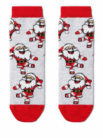 Шкарпетки та гольфи Conte Kids модель 18С-86СП 374 світло-сірий Фото