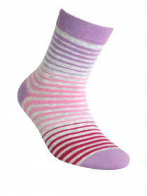 Шкарпетки та гольфи ESLI Модель 14С-14СПЕ 201 бузковий Фото