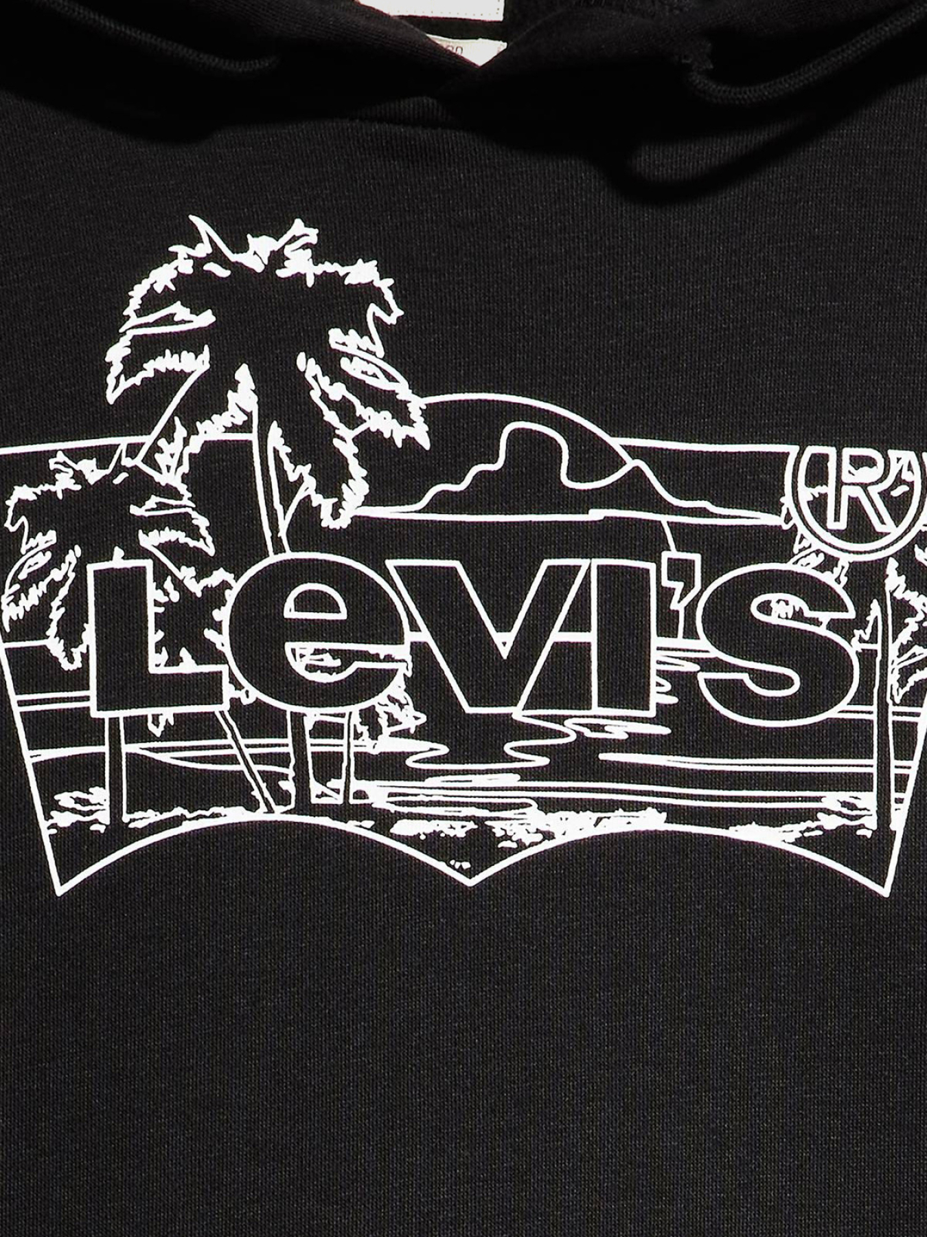 Худі Levi's модель 38424;0090 Фото