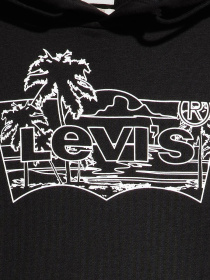 Худі Levi's модель 38424;0090 Фото