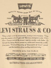 Худі Levi's модель 38479;0423 Фото