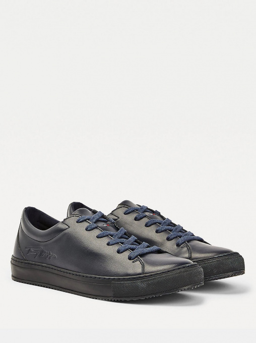 Кеды Tommy Hilfiger модель FM0FM03088-DW5 Фото