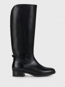 Сапоги Geox Felicity модель D04G1A-00043-C9999 Фото