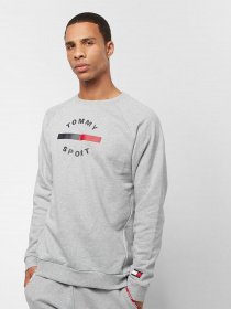 Свитшот Tommy Hilfiger модель S20S200455-P6S Фото