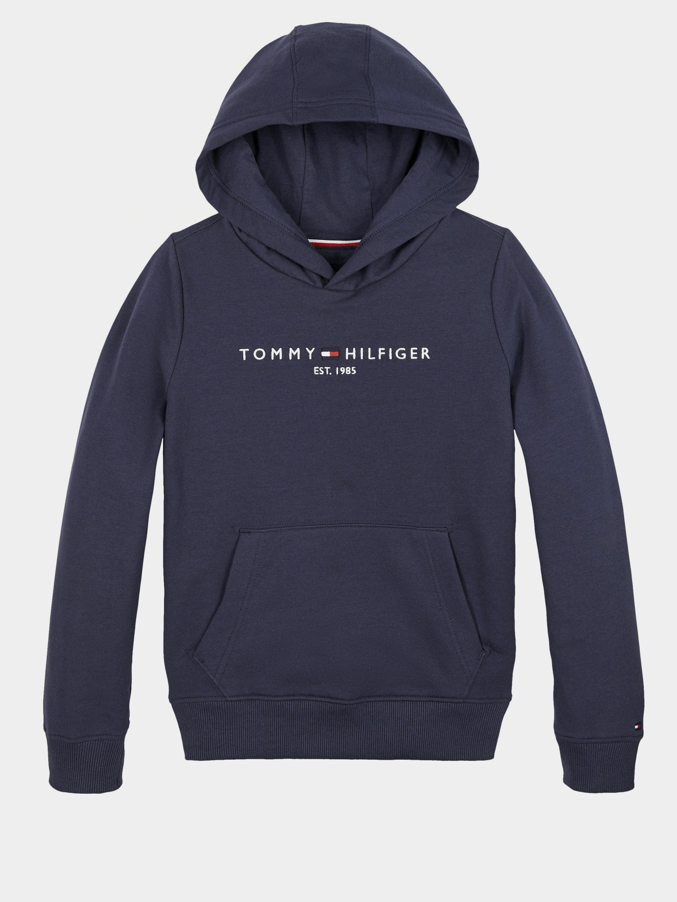 Худи Tommy Hilfiger модель KB0KB05796-C87 Фото