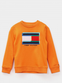 Свитшот Tommy Hilfiger модель KB0KB05803-SE7 Фото