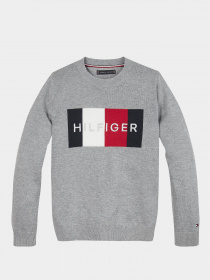 Свитшот Tommy Hilfiger модель KB0KB05812-P6U Фото
