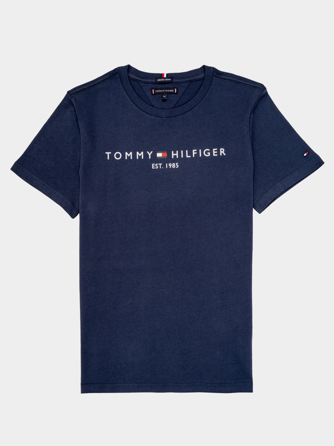 Футболки и поло Tommy Hilfiger ESSENTIAL модель KB0KB05844-C87 Фото