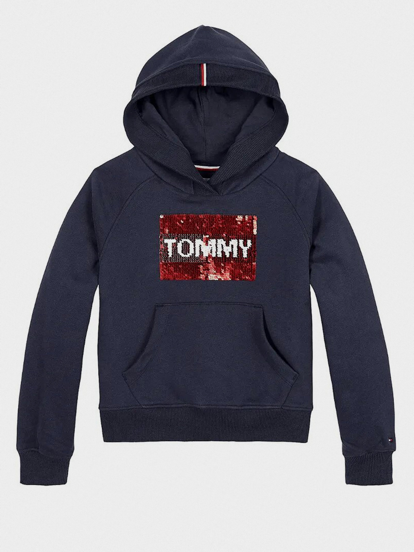 Худи Tommy Hilfiger модель KG0KG05219-C87 Фото