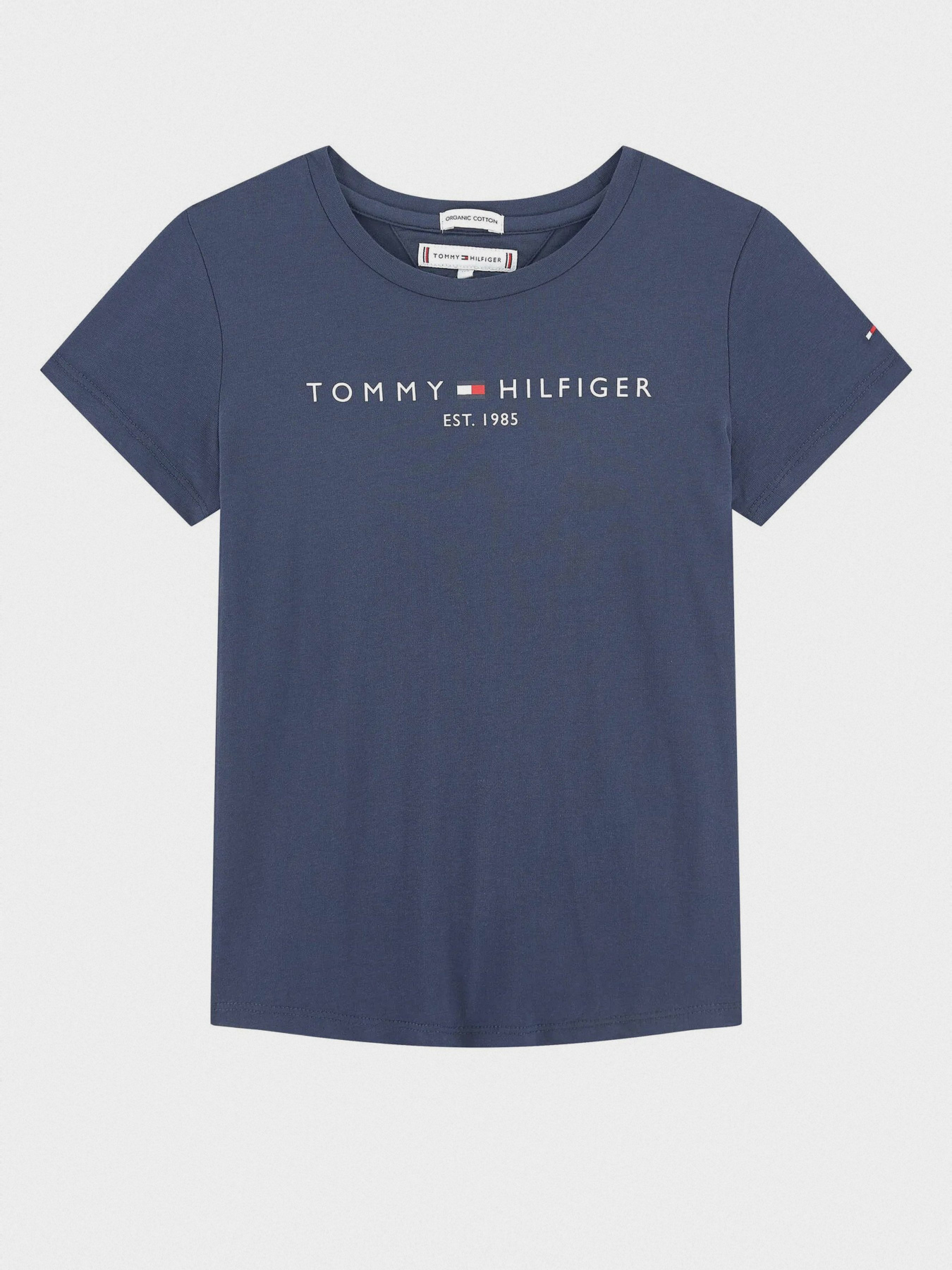 Футболки и поло Tommy Hilfiger модель KG0KG05242-C87 Фото