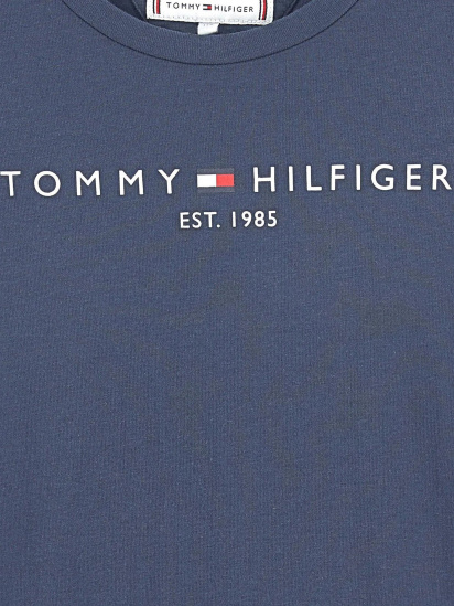 Футболки і поло Tommy Hilfiger модель KG0KG05242-C87 — фото - INTERTOP