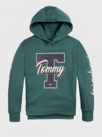 Худи Tommy Hilfiger модель KB0KB06146-L6N Фото