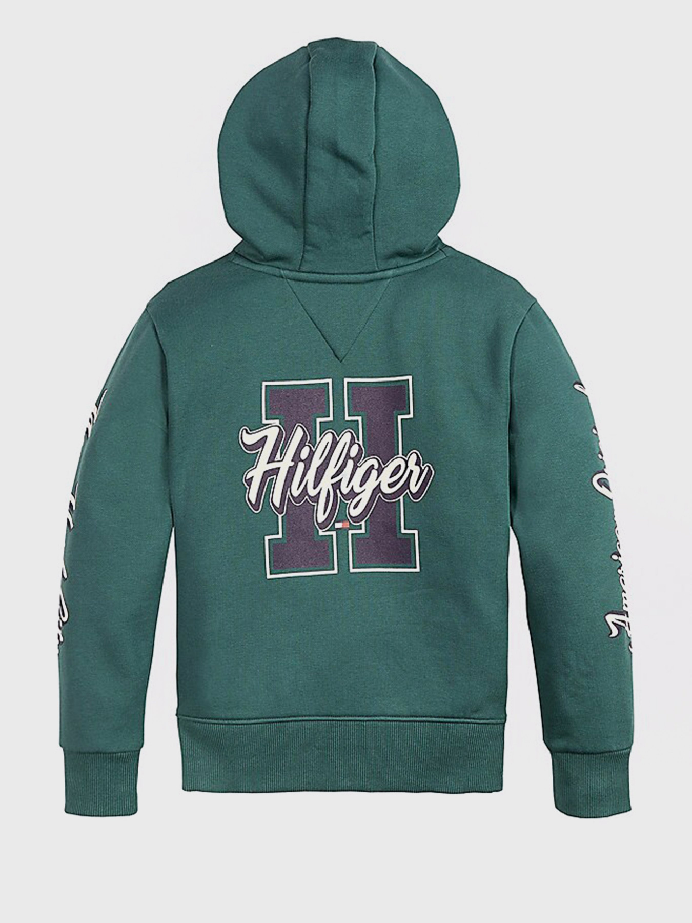 Худі Tommy Hilfiger модель KB0KB06146-L6N Фото