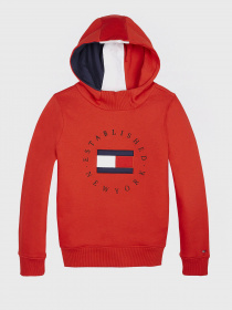 Худи Tommy Hilfiger модель KB0KB06153-XNL Фото