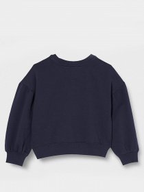 Свитшот Tommy Hilfiger модель KG0KG05493-C87 Фото