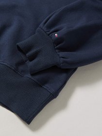 Свитшот Tommy Hilfiger модель KG0KG05493-C87 Фото