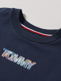 Свитшот Tommy Hilfiger модель KG0KG05493-C87 Фото