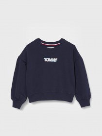 Свитшот Tommy Hilfiger модель KG0KG05493-C87 Фото