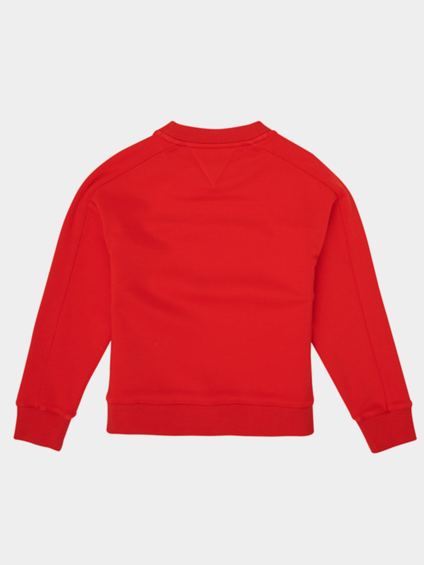 Свитшот Tommy Hilfiger модель KG0KG05497-XNL Фото