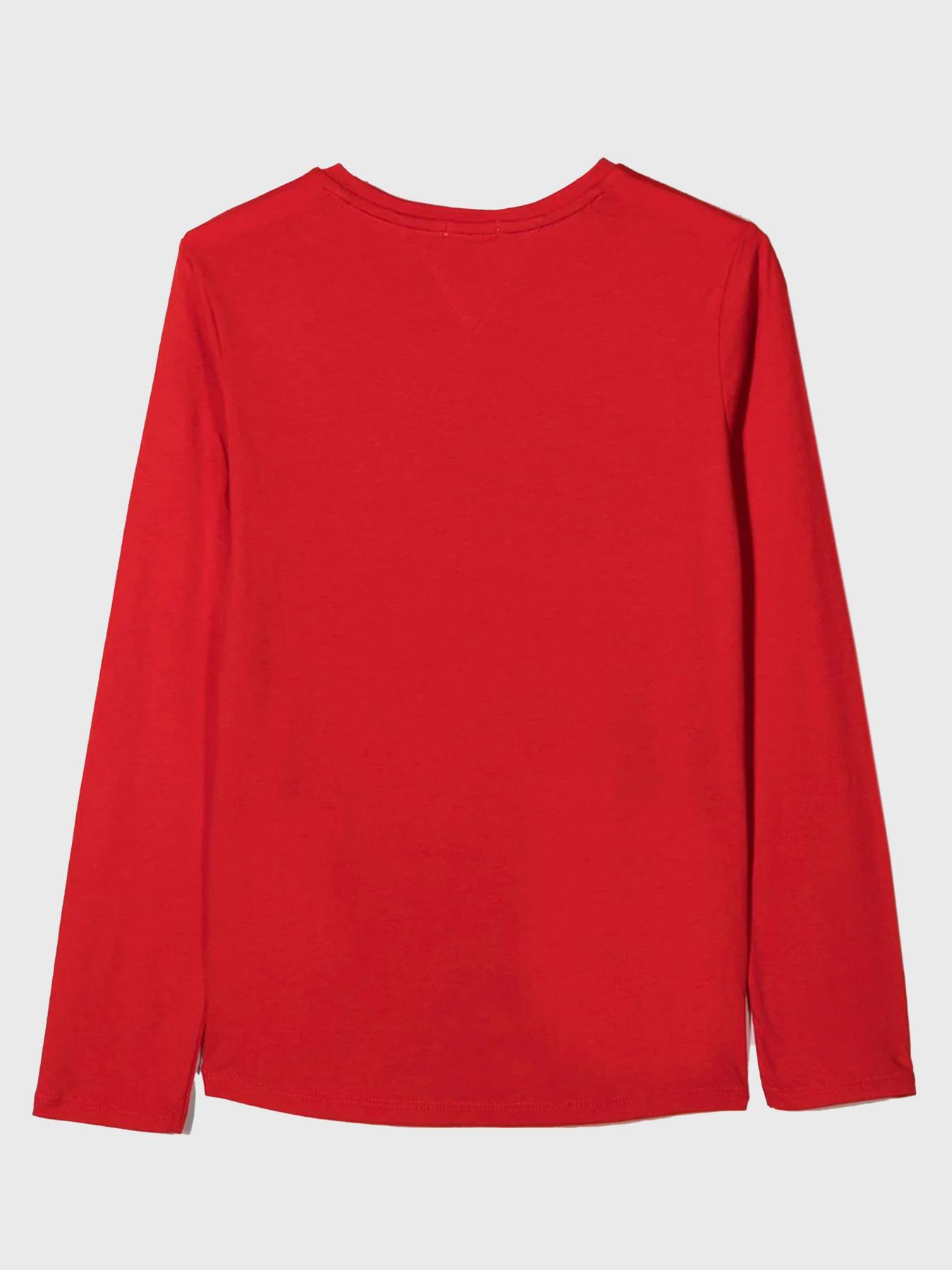 Свитшот Tommy Hilfiger модель KG0KG05509-XNL Фото