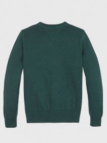 Світшот Tommy Hilfiger модель KB0KB06070-L6N Фото