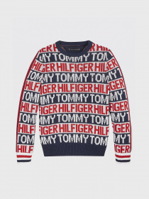 Свитшот Tommy Hilfiger модель KB0KB06088-Z01 Фото