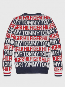 Світшот Tommy Hilfiger модель KB0KB06088-Z01 Фото