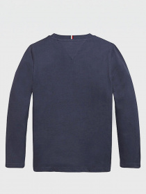 Свитшот Tommy Hilfiger модель KB0KB06102-C87 Фото
