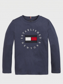 Світшот Tommy Hilfiger модель KB0KB06102-C87 Фото
