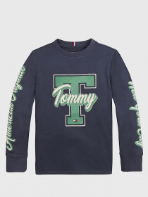 Свитшот Tommy Hilfiger модель KB0KB06104-C87 Фото