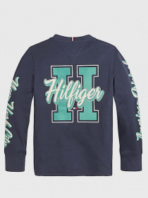 Світшот Tommy Hilfiger модель KB0KB06104-C87 Фото