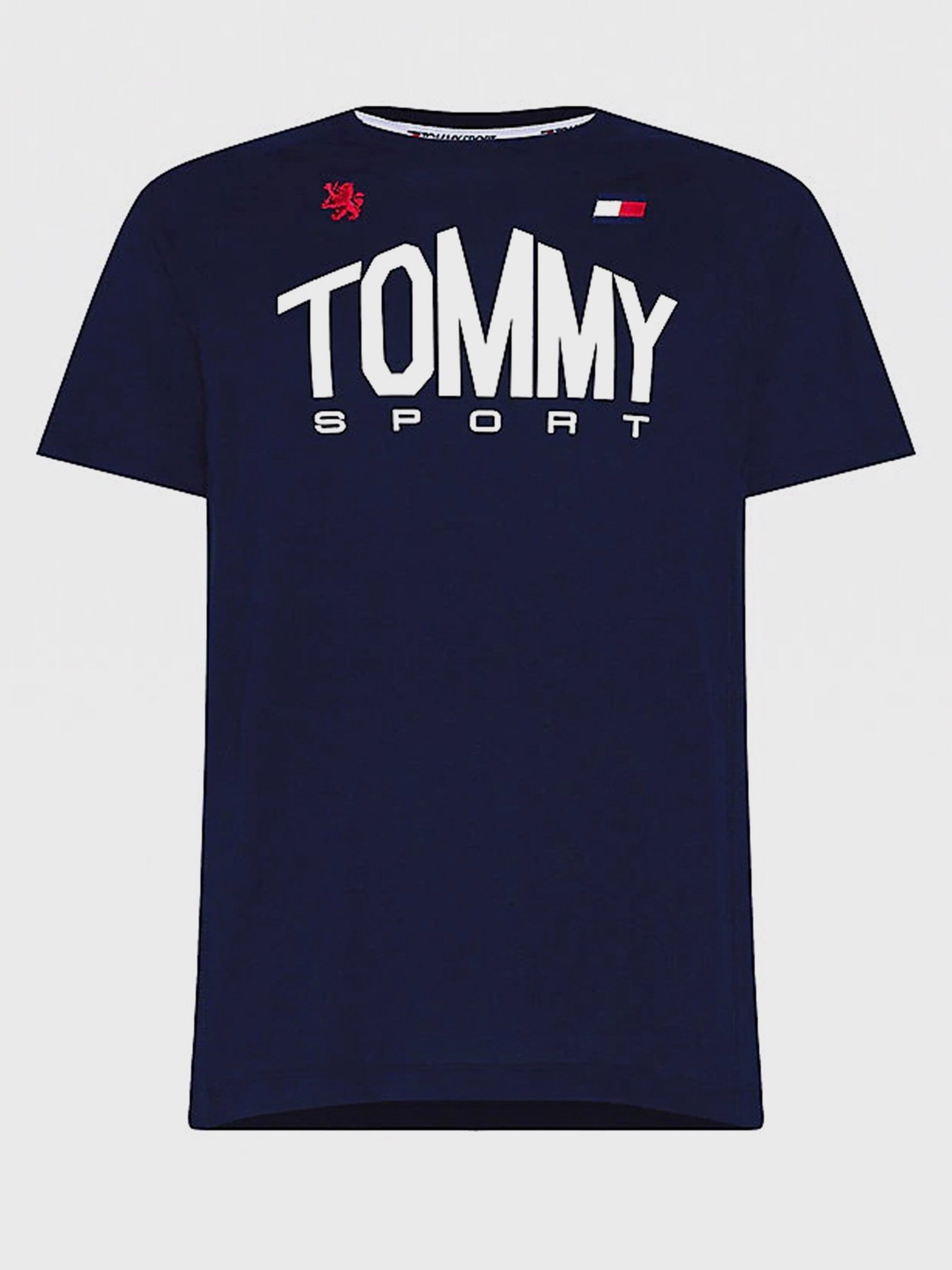 Футболки и поло Tommy Hilfiger ICONS модель S20S200502-DW5 Фото