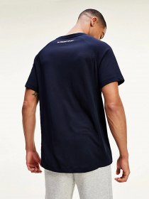 Футболки и поло Tommy Hilfiger ICONS модель S20S200502-DW5 Фото