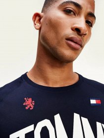 Футболки і поло Tommy Hilfiger ICONS модель S20S200502-DW5 Фото