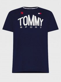 Футболки і поло Tommy Hilfiger ICONS модель S20S200502-DW5 Фото