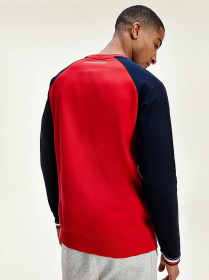 Реглан Tommy Hilfiger модель S20S200513-XLG Фото