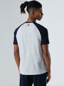 Футболки и поло Tommy Hilfiger модель S20S200551-P6S Фото