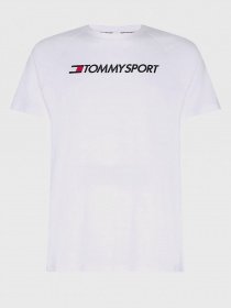 Футболки і поло Tommy Hilfiger модель S20S200551-YBR Фото