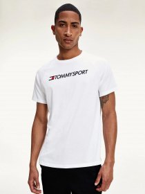 Футболки і поло Tommy Hilfiger модель S20S200551-YBR Фото