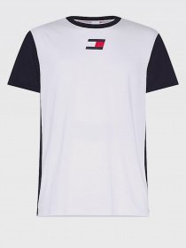 Футболки і поло Tommy Hilfiger модель S20S200556-YBR Фото