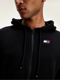 Худи Tommy Hilfiger модель S20S200562-BEH Фото