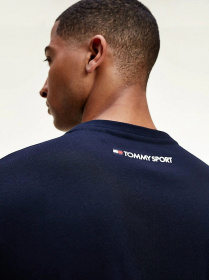 Футболки и поло Tommy Hilfiger модель S20S200586-DW5 Фото