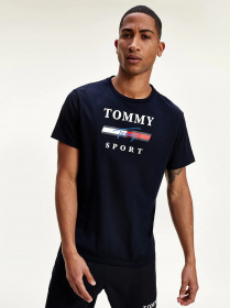 Футболки і поло Tommy Hilfiger модель S20S200586-DW5 Фото