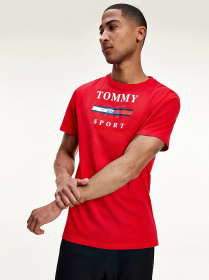 Футболки и поло Tommy Hilfiger модель S20S200586-XLG Фото