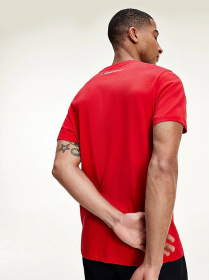 Футболки і поло Tommy Hilfiger модель S20S200586-XLG Фото