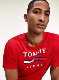 Футболки і поло Tommy Hilfiger модель S20S200586-XLG Фото