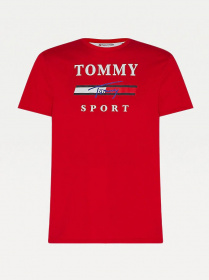 Футболки і поло Tommy Hilfiger модель S20S200586-XLG Фото